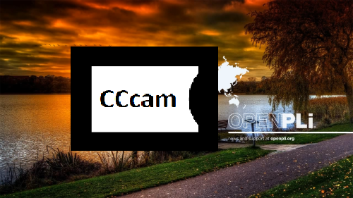 cccam get cw faild